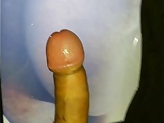Big fat cock teasing for indian babe